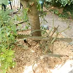 イン Doersbachhoehe Herold