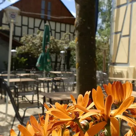 多尔斯巴赫豪尔旅馆 宾馆 3*