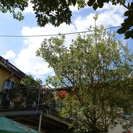 Dörsbachhöhe Gasthof Herold